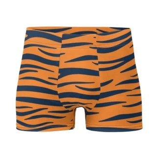 Auburn University Tigers Football Briefs Men's Underwear Tiger Stripes