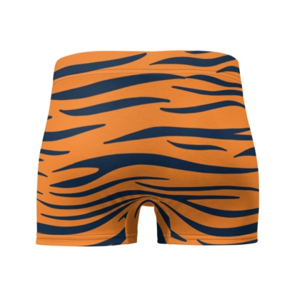 Auburn University Tigers Football Briefs Men's Underwear Tiger Stripes